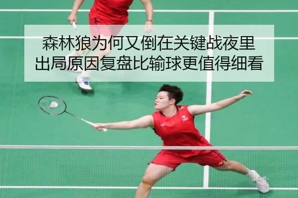森林狼为何又倒在关键战夜里 出局原因复盘比输球更值得细看